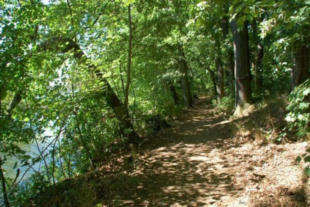 Dachwohnung Mit Wasserblick Und Eigenem Bootssteg Berlijn Buitenkant foto