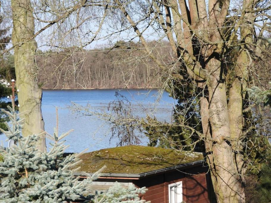 Dachwohnung Mit Wasserblick Und Eigenem Bootssteg Berlijn Buitenkant foto